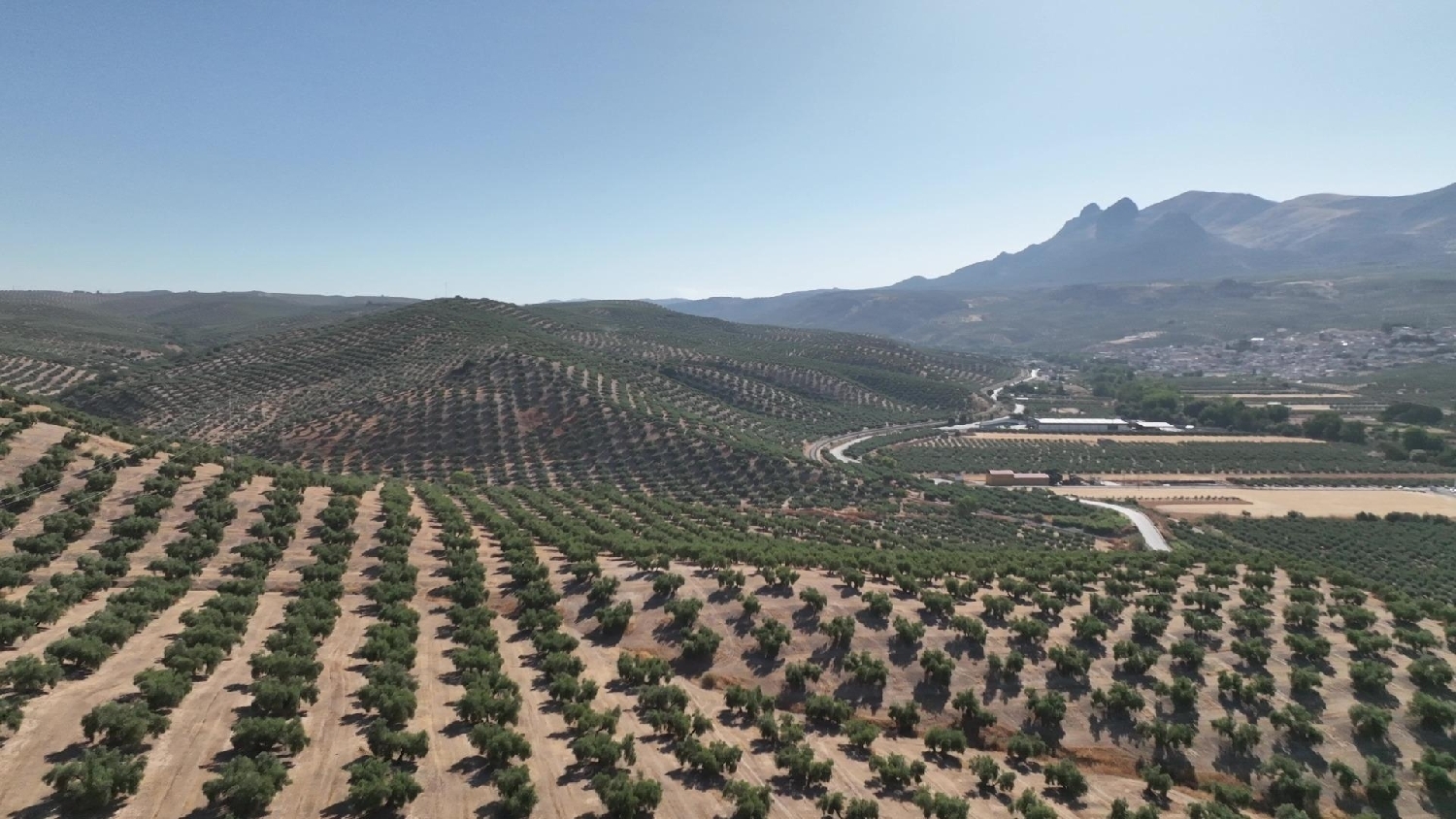 te koop huis Albolote Vega De Granada 3