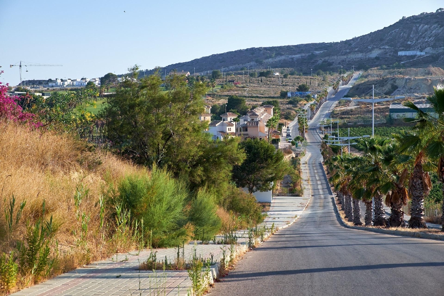  à vendre maison Algorfa Baix Segura 15