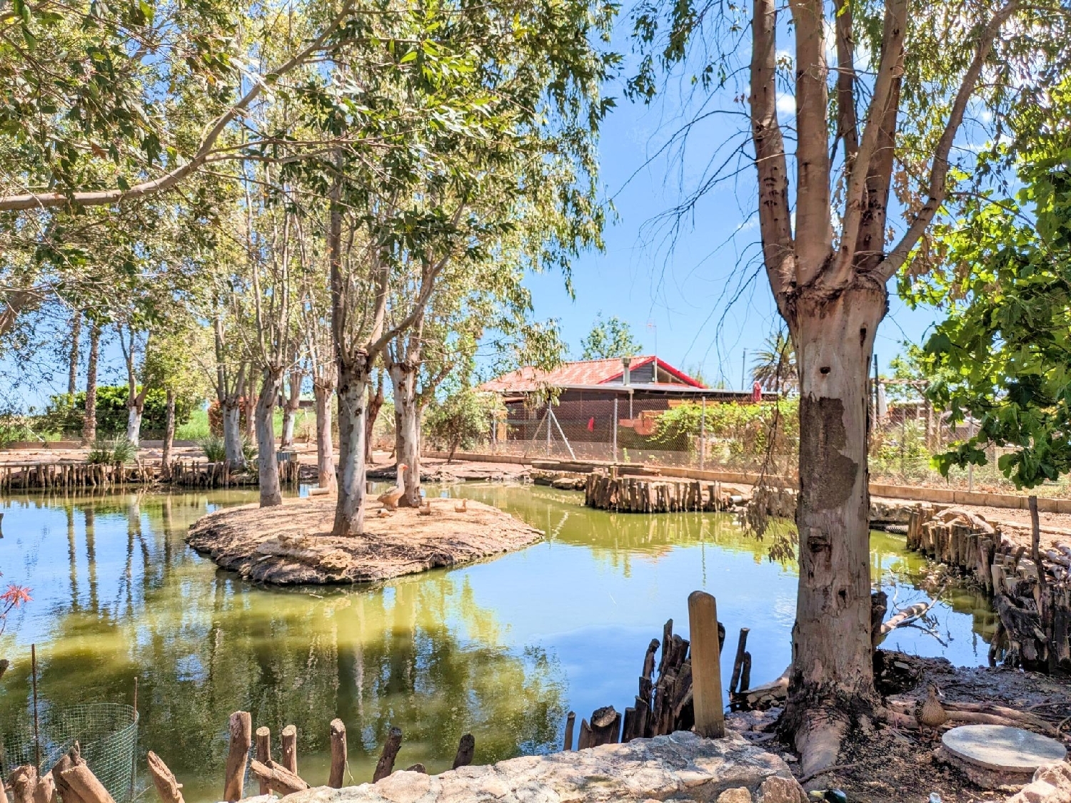  kaufen Haus Amposta Montsià 4