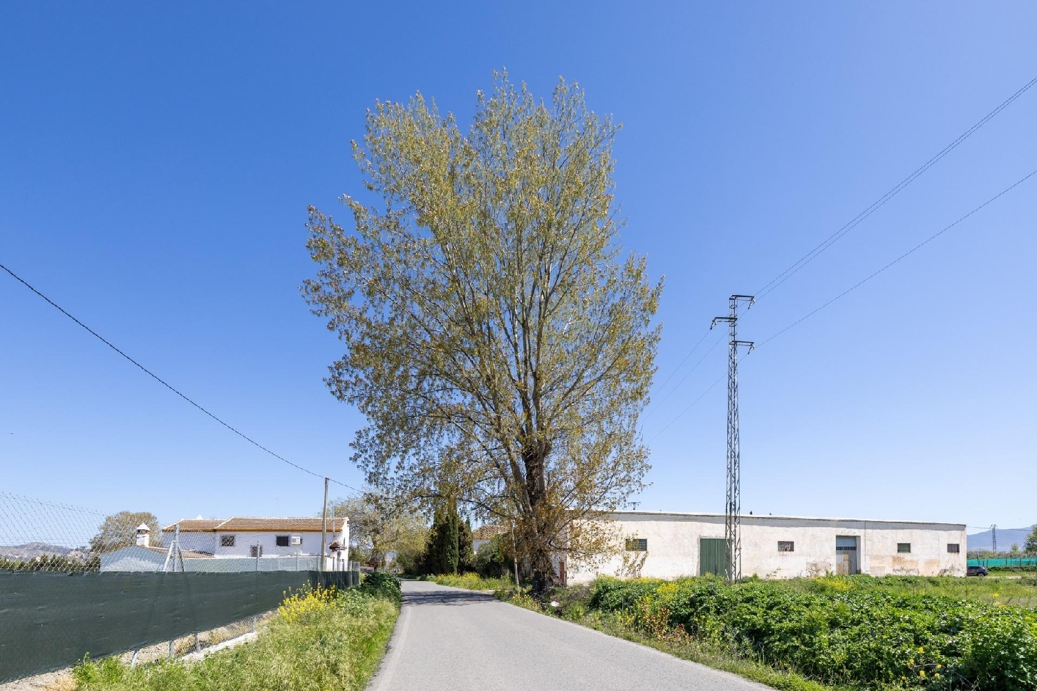  en venta casa Barrio De Granada Alacantí 6