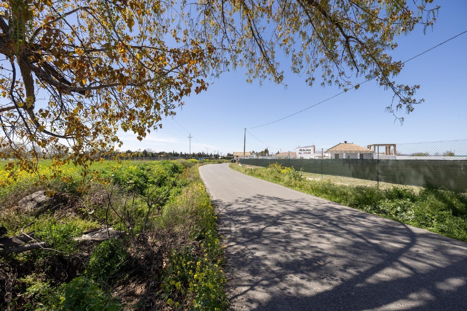 à vendre maison Barrio De Granada Alacantí 5