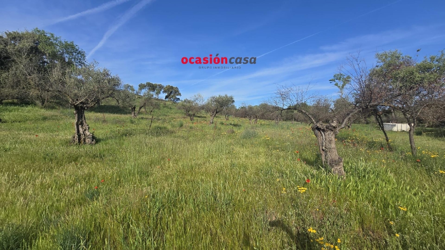  en venta casa Belmez Valle Del Guadiato 2