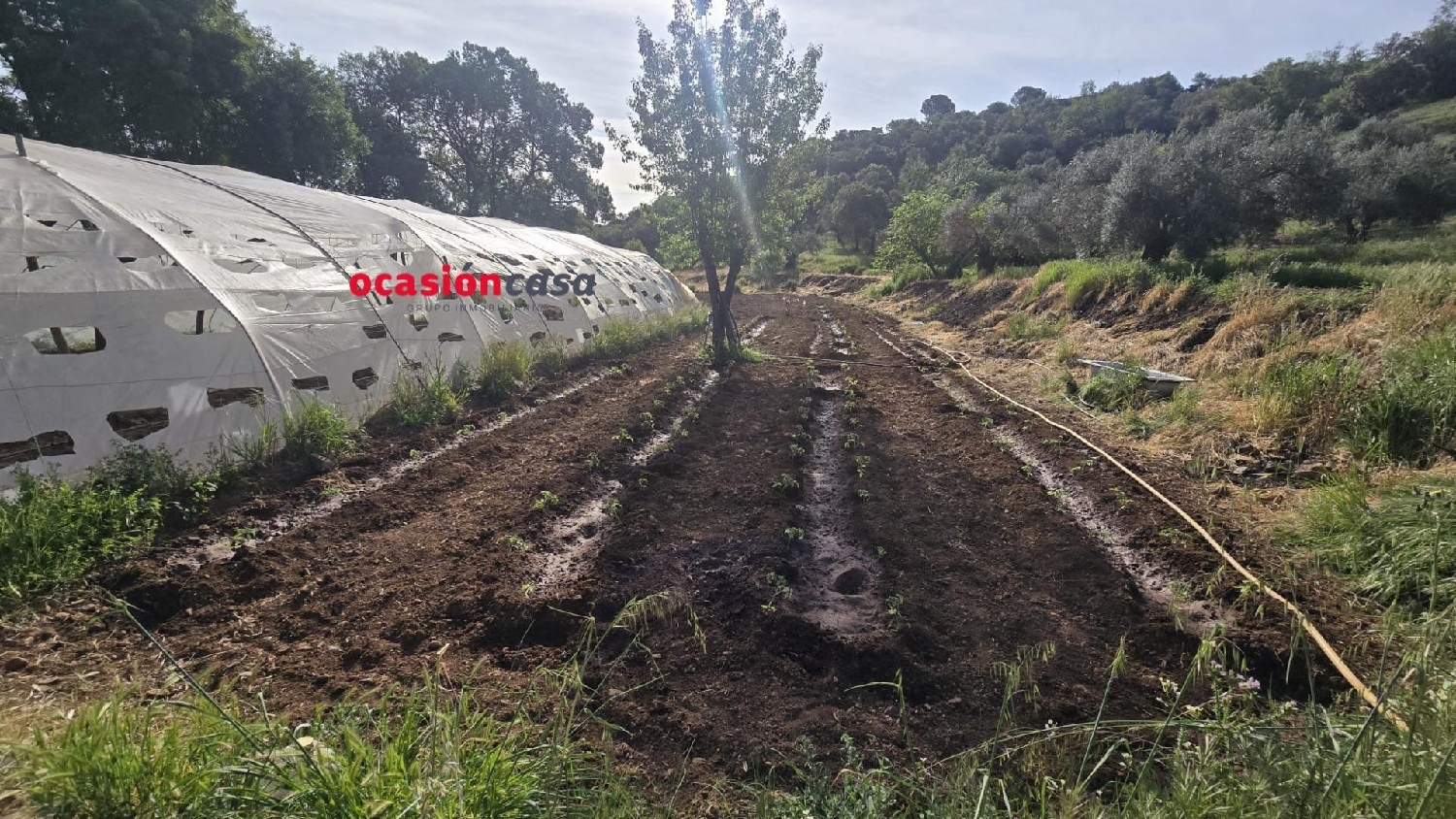  en venta casa Belmez Valle Del Guadiato 3