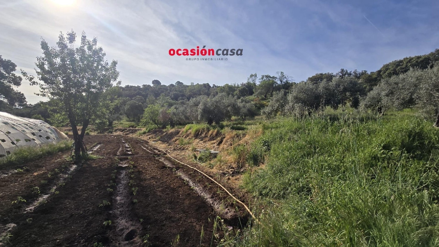  en venta casa Belmez Valle Del Guadiato 4
