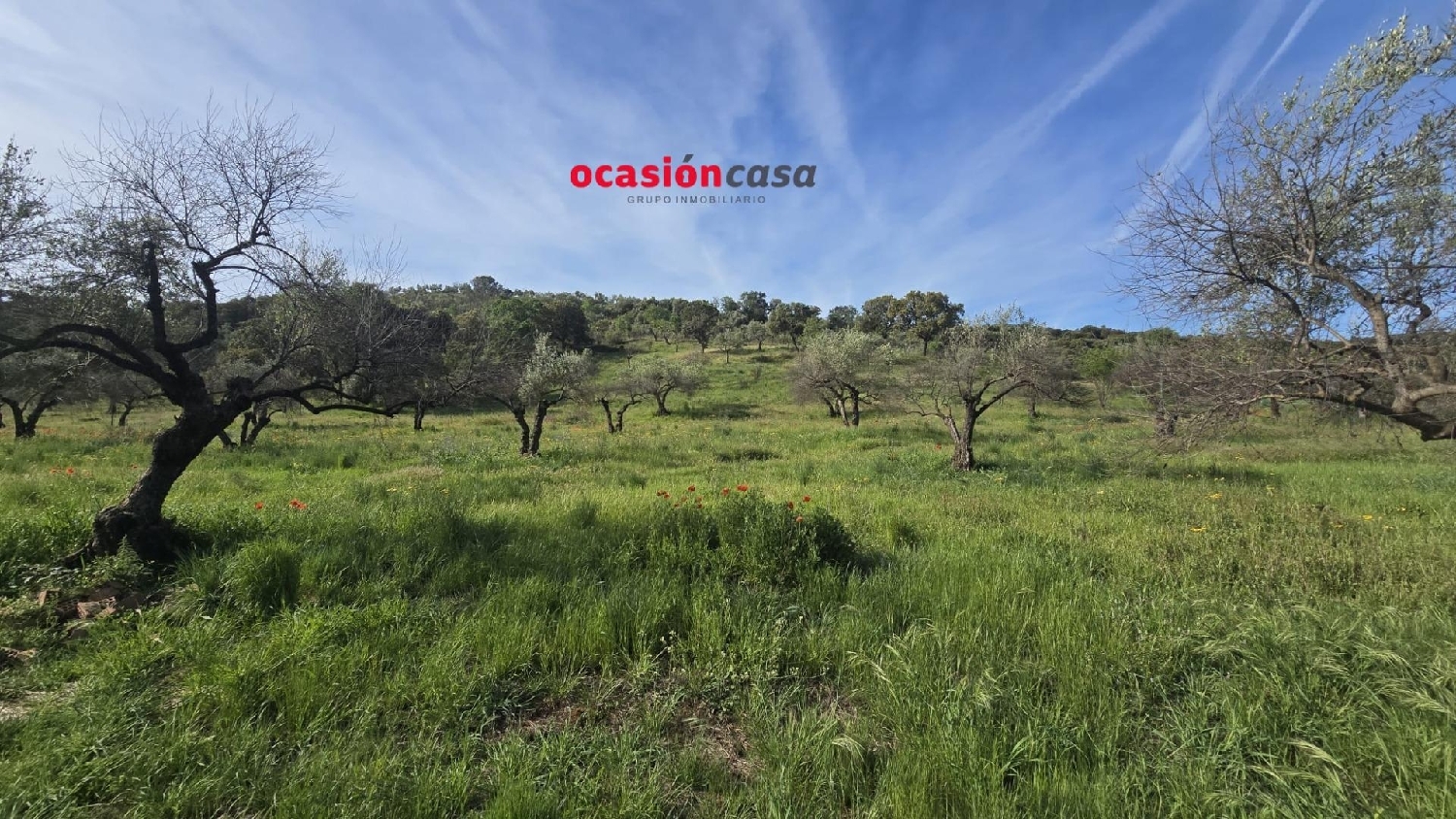  en venta casa Belmez Valle Del Guadiato 7