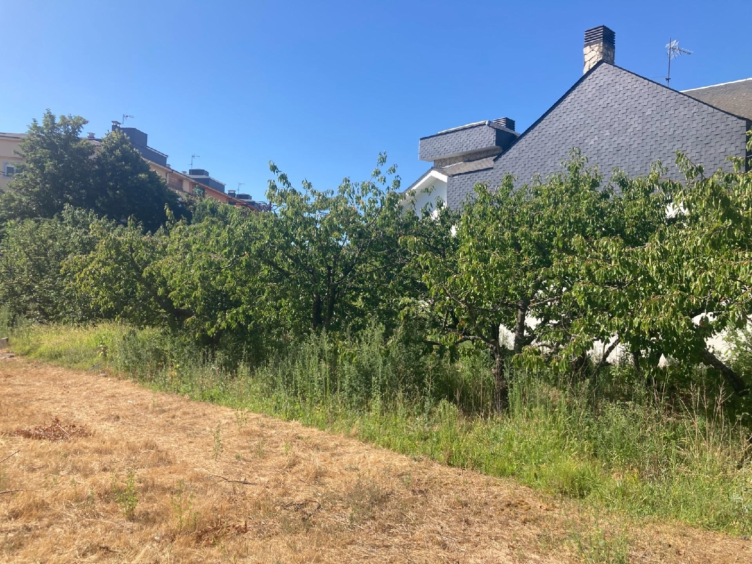  till salu hus Cacabelos Bierzo (El) 5