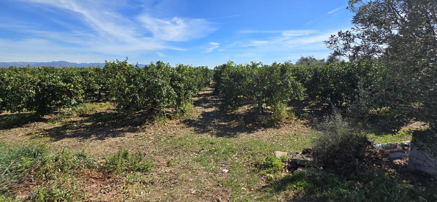  for sale house Camp De Lliria Camp De Túria 6