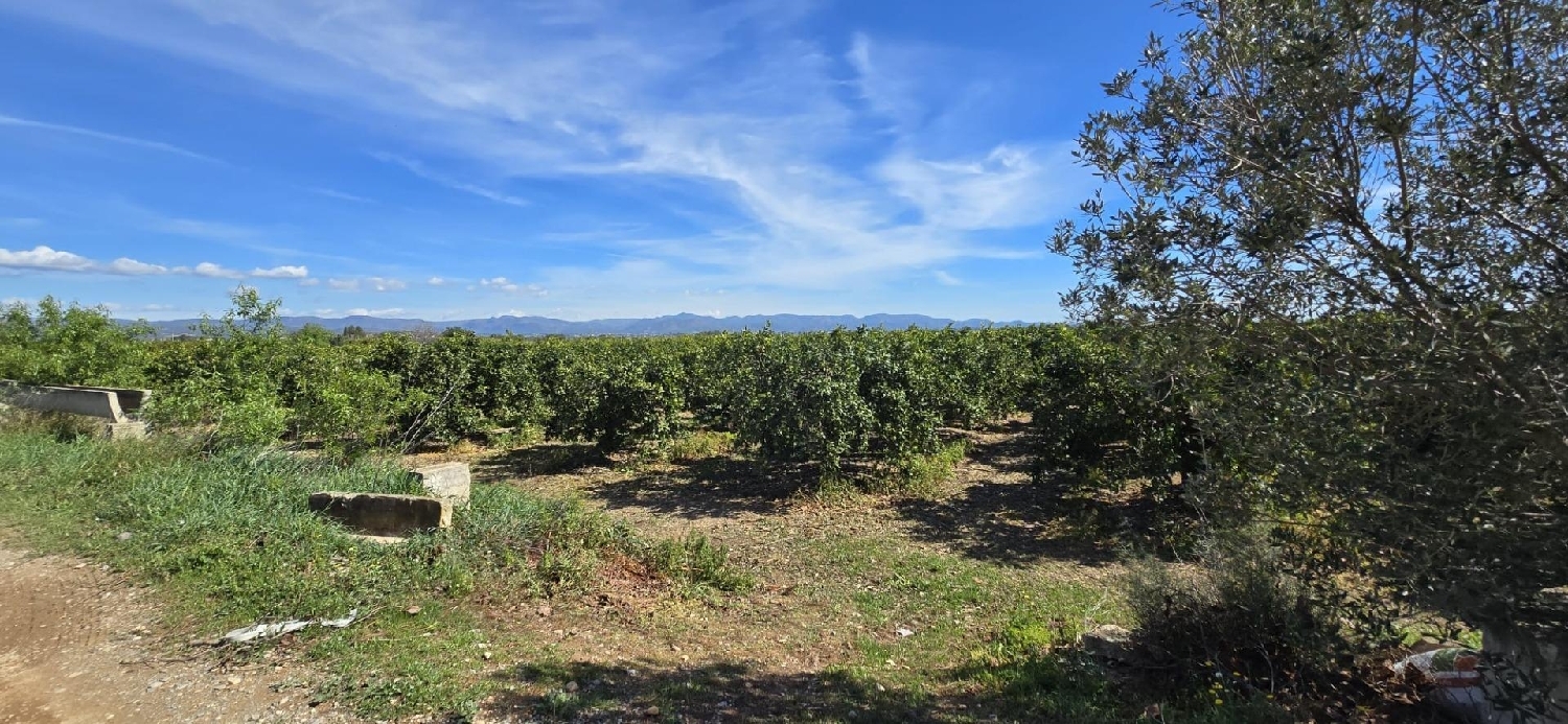  for sale house Camp De Lliria Camp De Túria 8