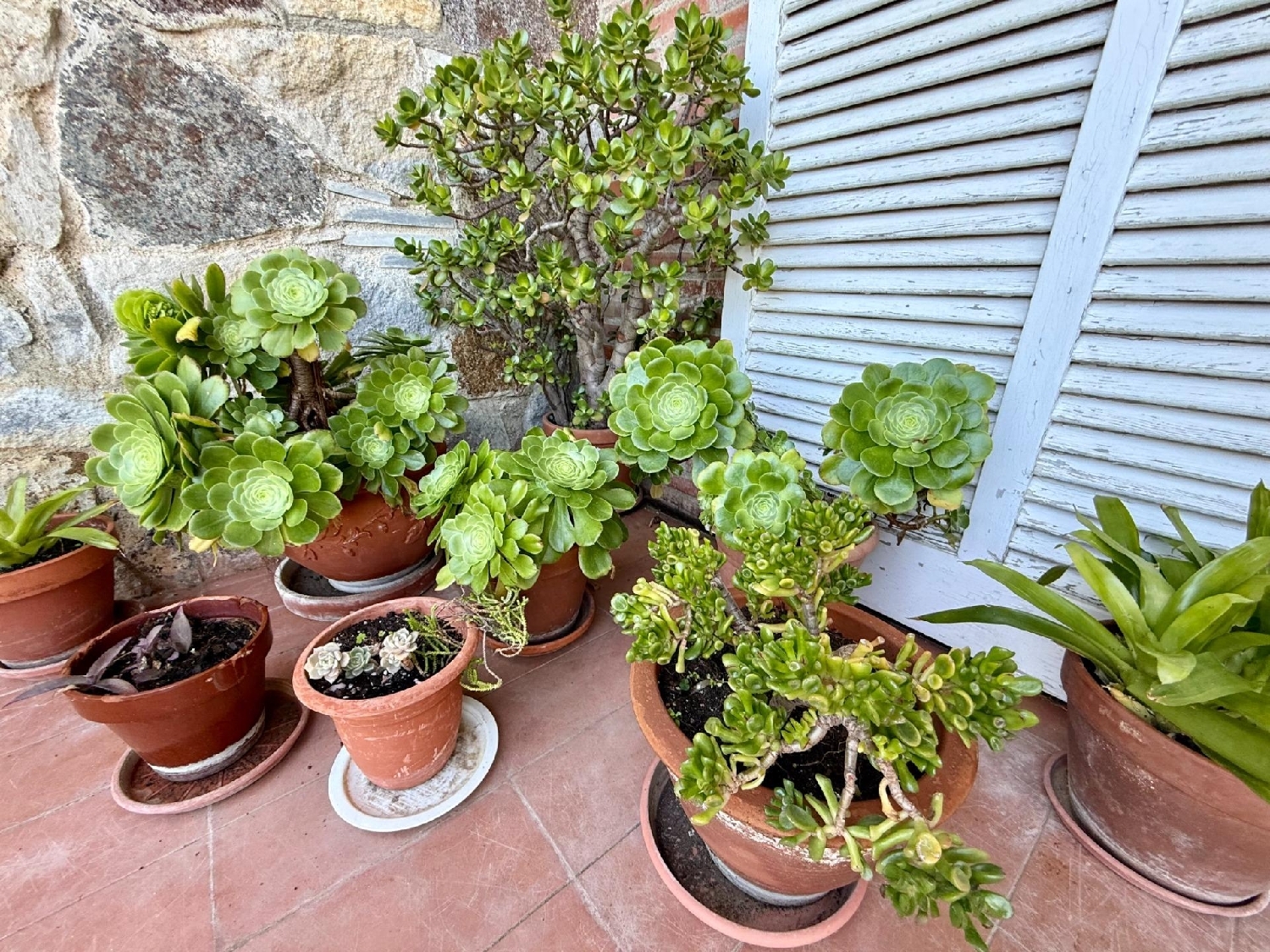 à vendre maison Castell D'aro Baix Empordà 4