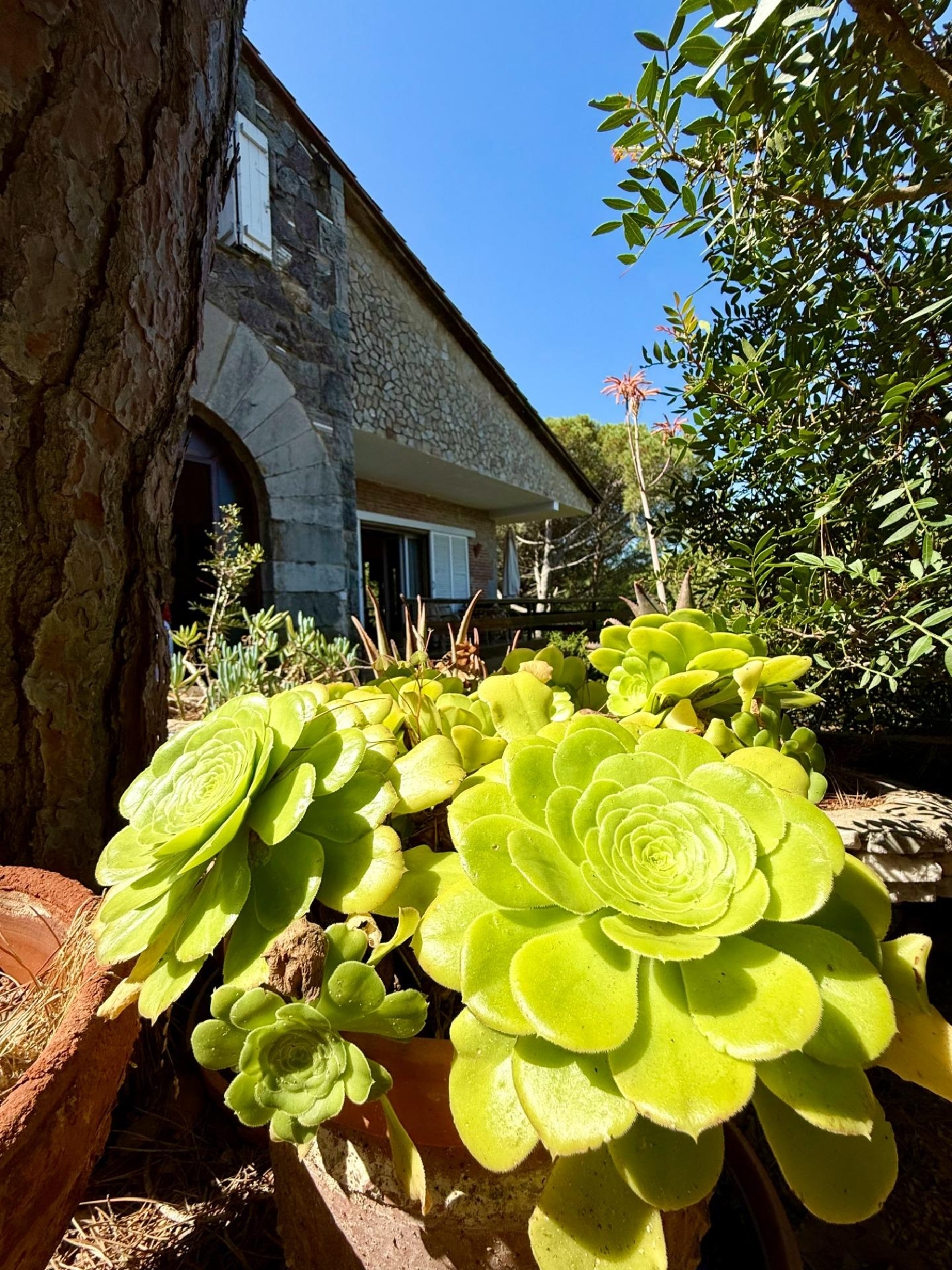 à vendre maison Castell D'aro Baix Empordà 10