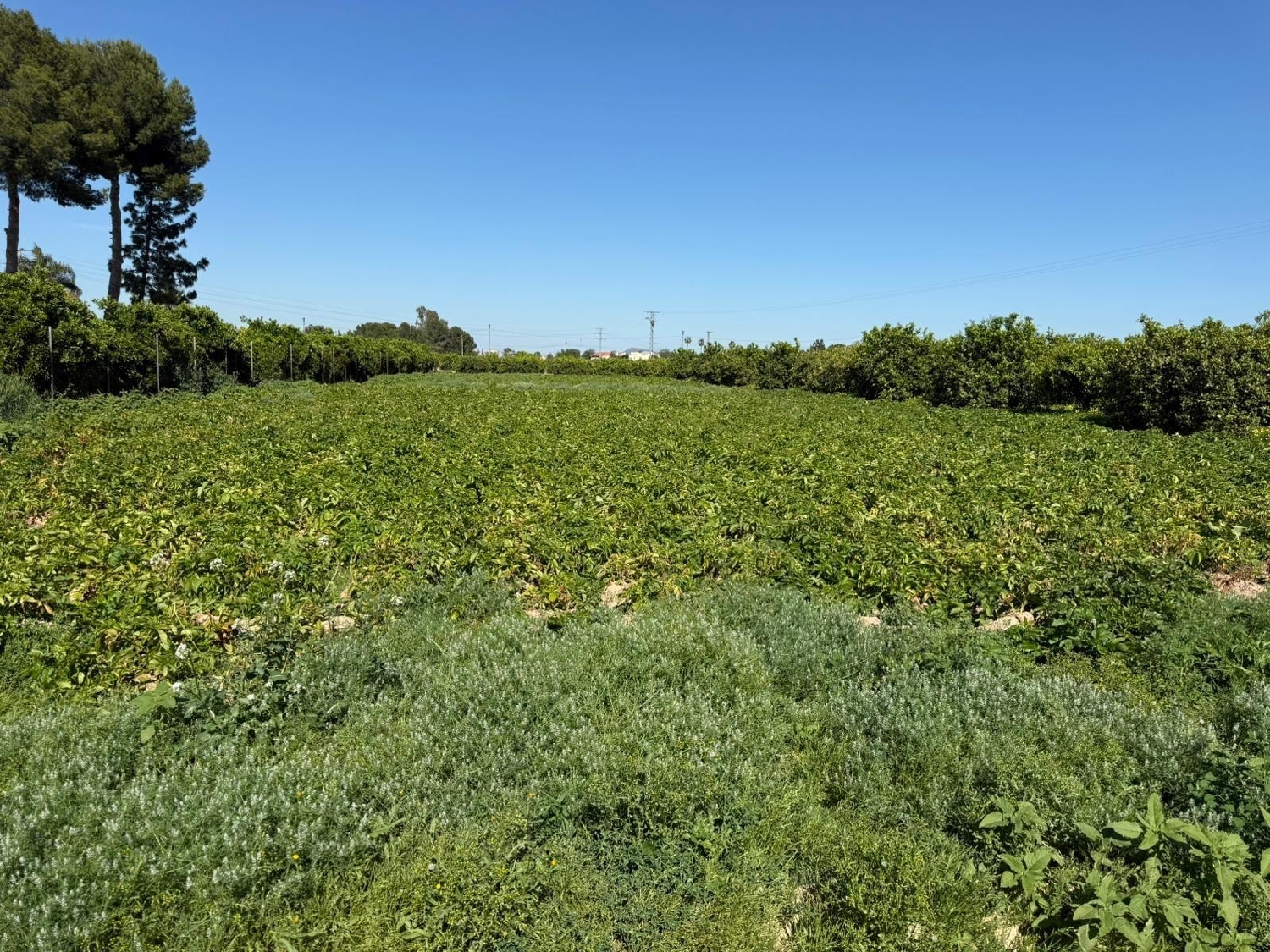  en venta casa Castrillo De Murcia Odra-Pisuerga 7