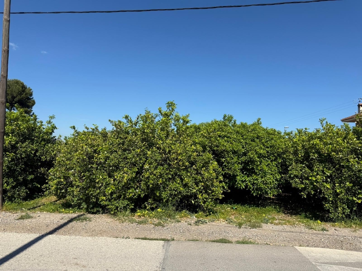  en venta casa Castrillo De Murcia Odra-Pisuerga 3