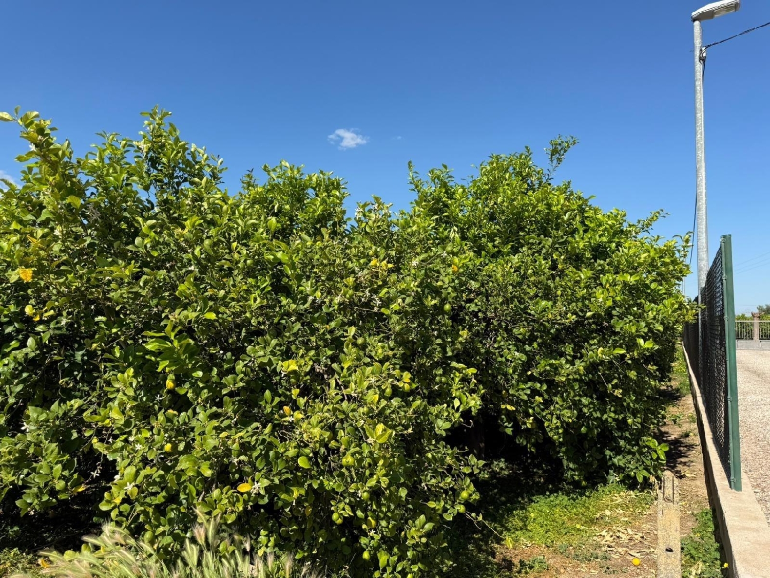  en venta casa Castrillo De Murcia Odra-Pisuerga 1