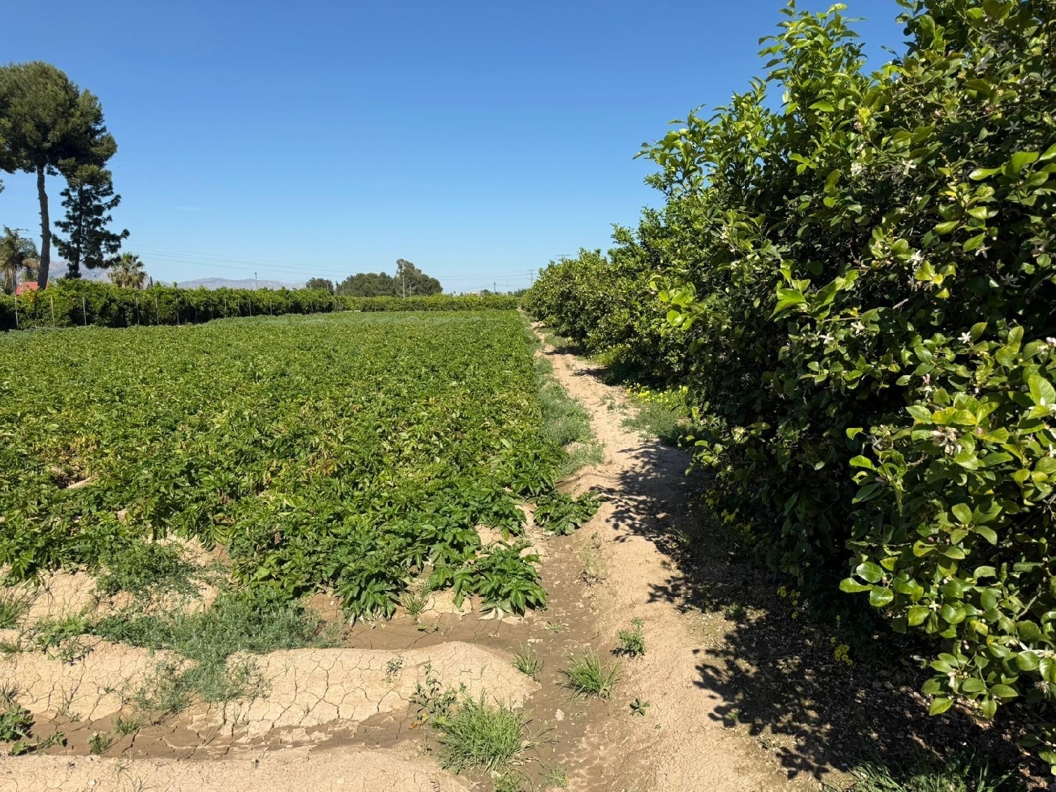  en venta casa Castrillo De Murcia Odra-Pisuerga 5
