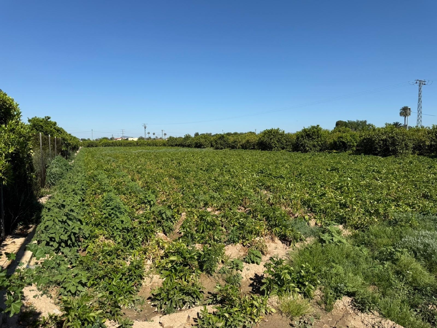  en venta casa Castrillo De Murcia Odra-Pisuerga 6