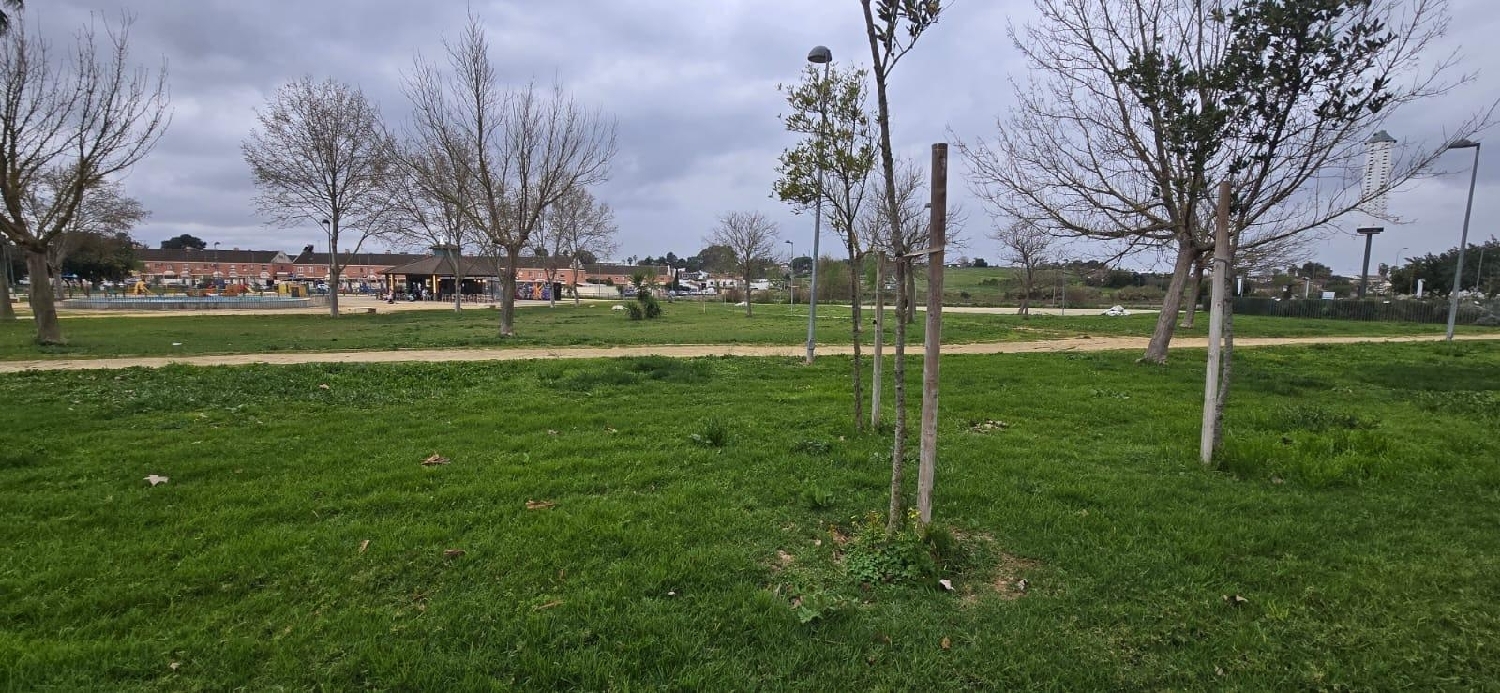 en venta casa Coria Del Río Metropolitana De Sevilla 4