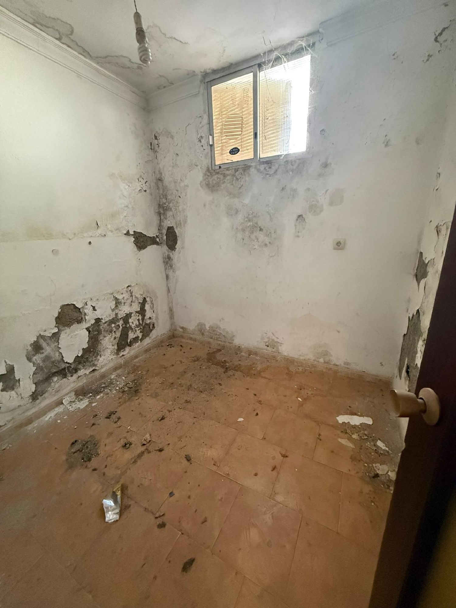  kaufen Haus Cuevas De San Marcos Nororma 5