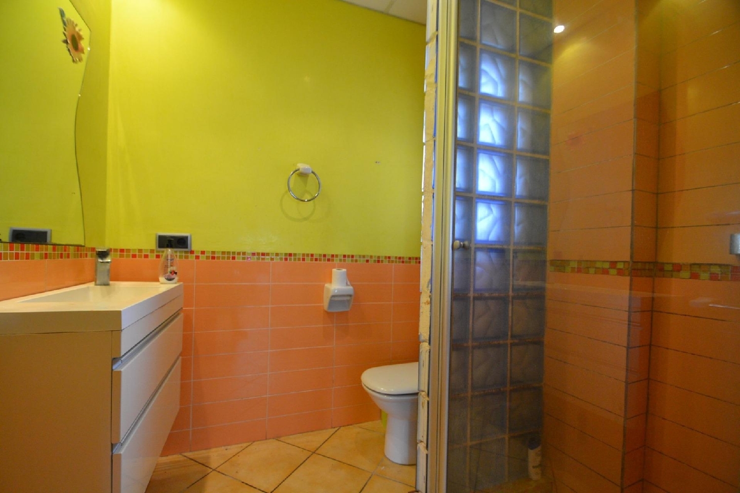 à vendre maison Deltebre Baix Ebre 7