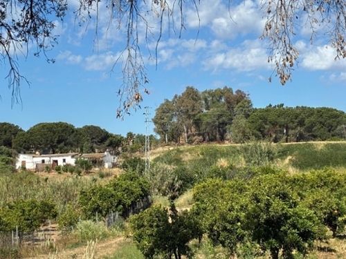 Gibraleon Metropolitana De Huelva hus foto 6381203
