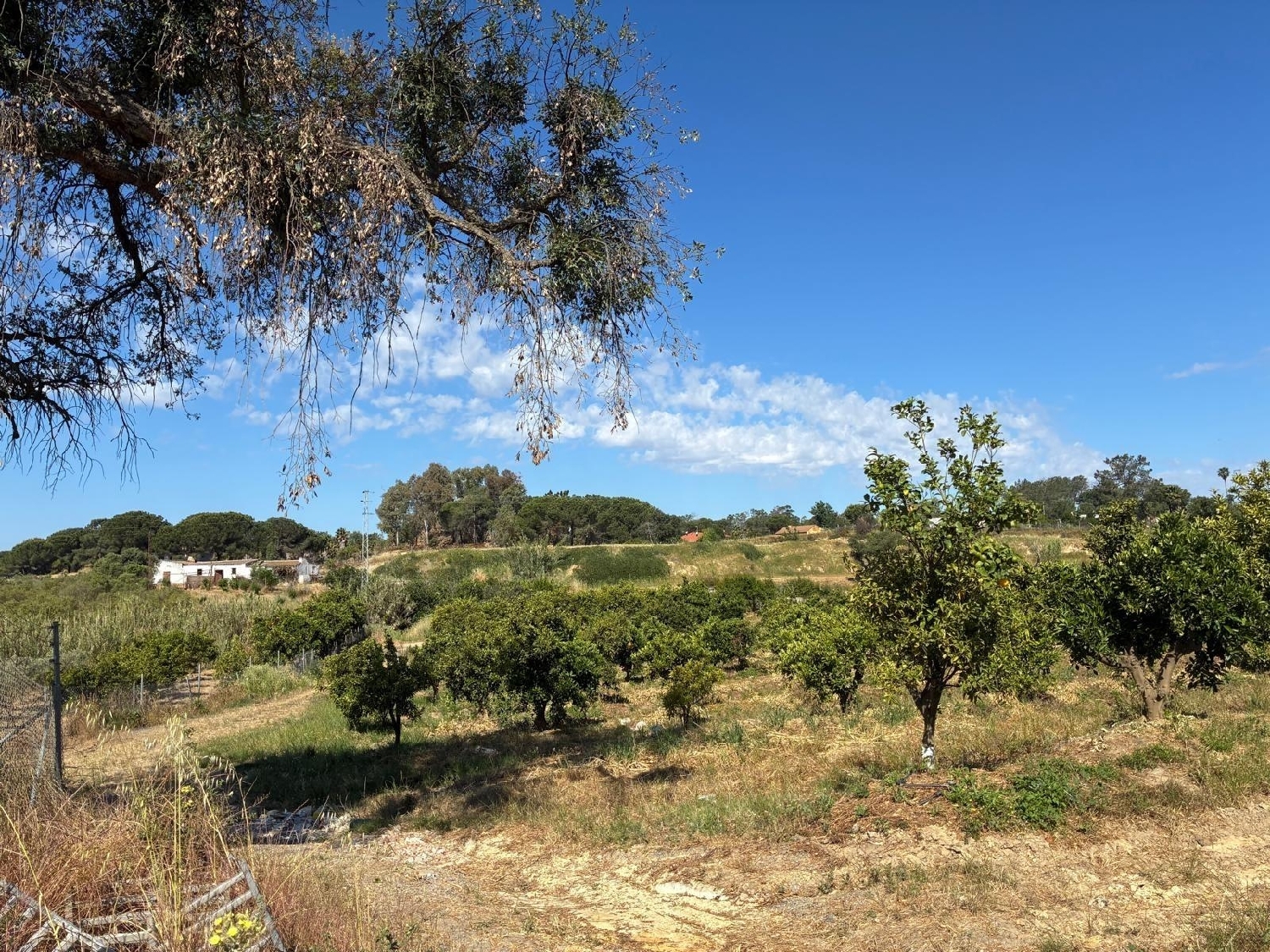  till salu hus Gibraleon Metropolitana De Huelva 2