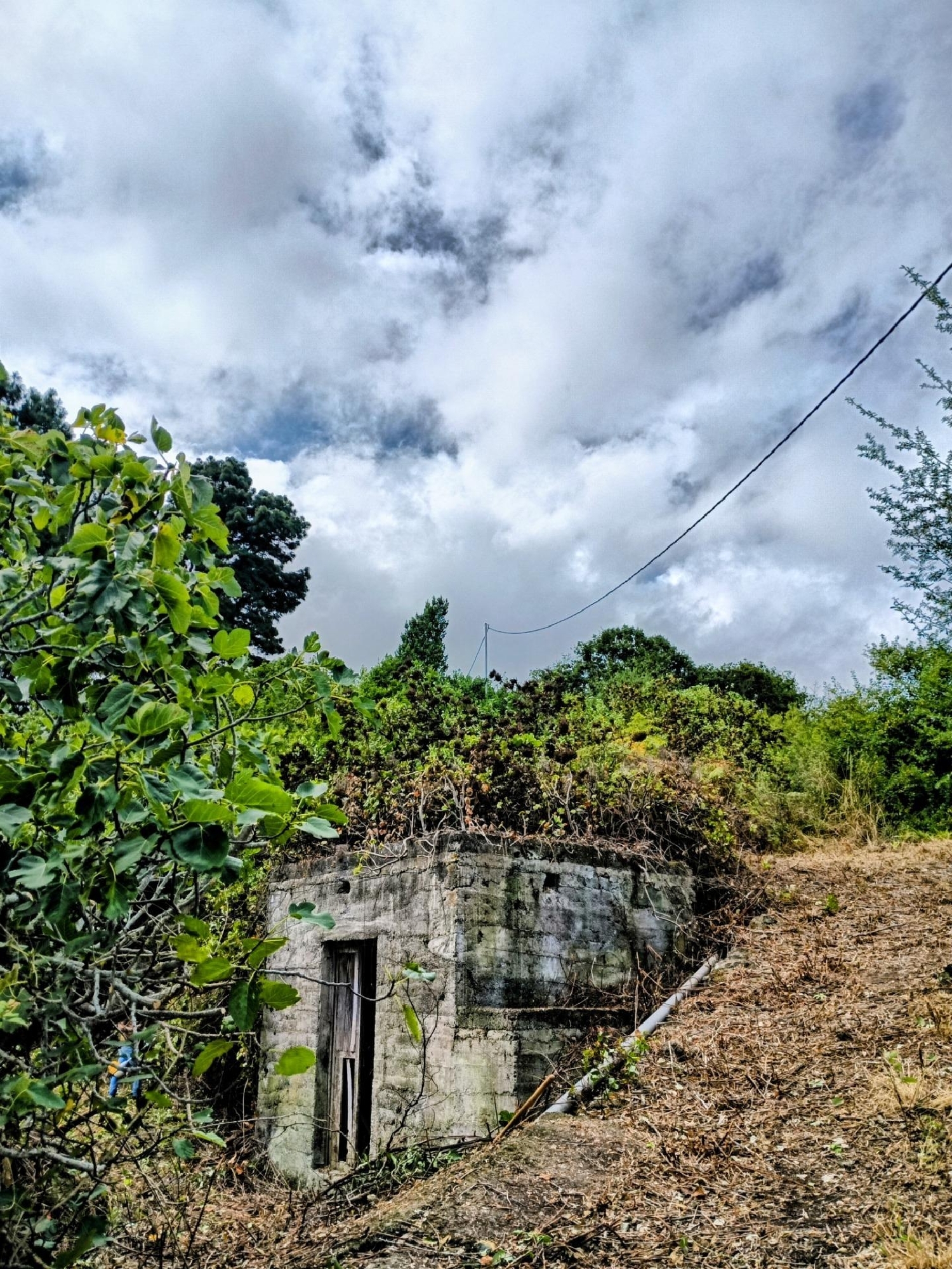  for sale house Icod De Los Vinos Zona Norte 1