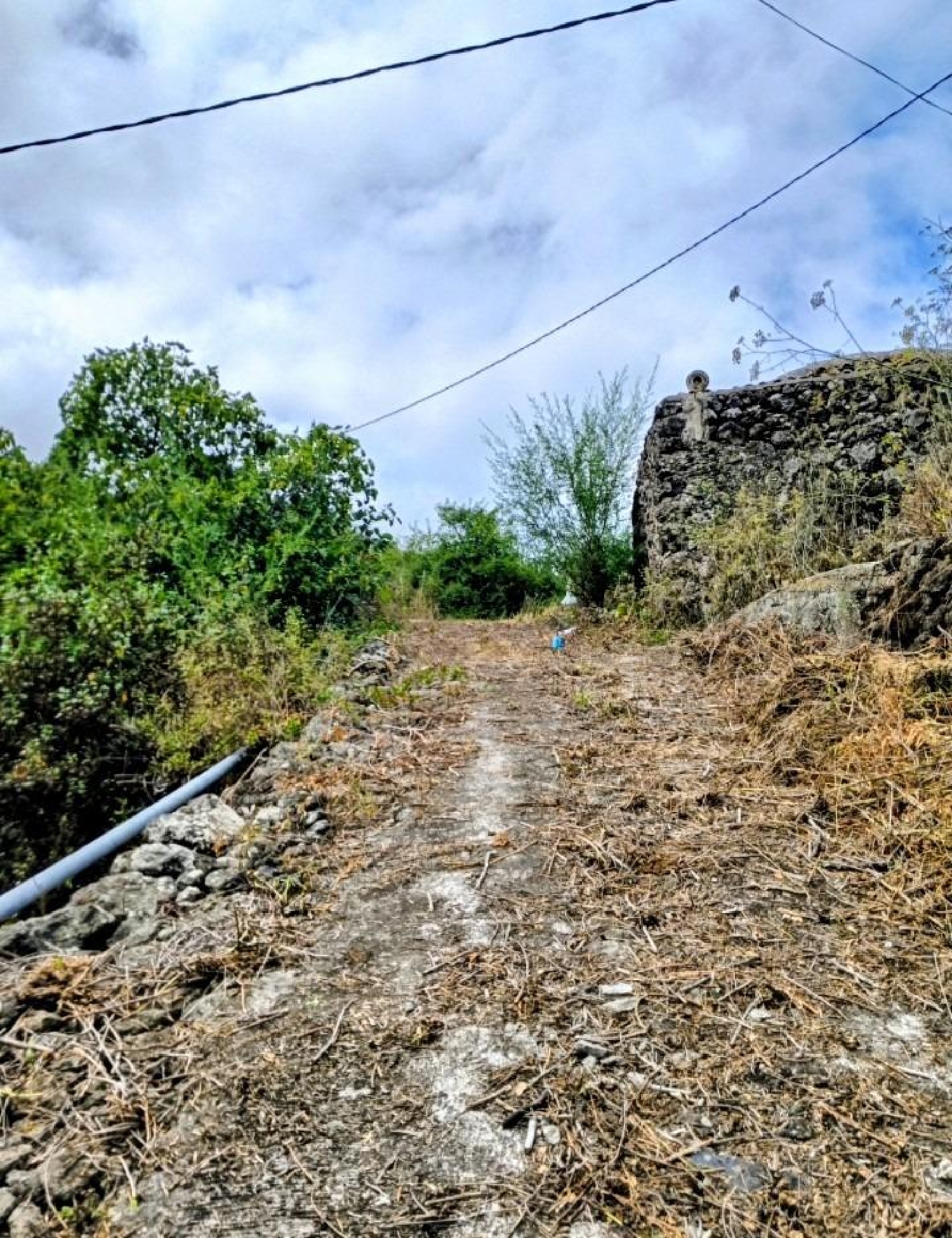  for sale house Icod De Los Vinos Zona Norte 3