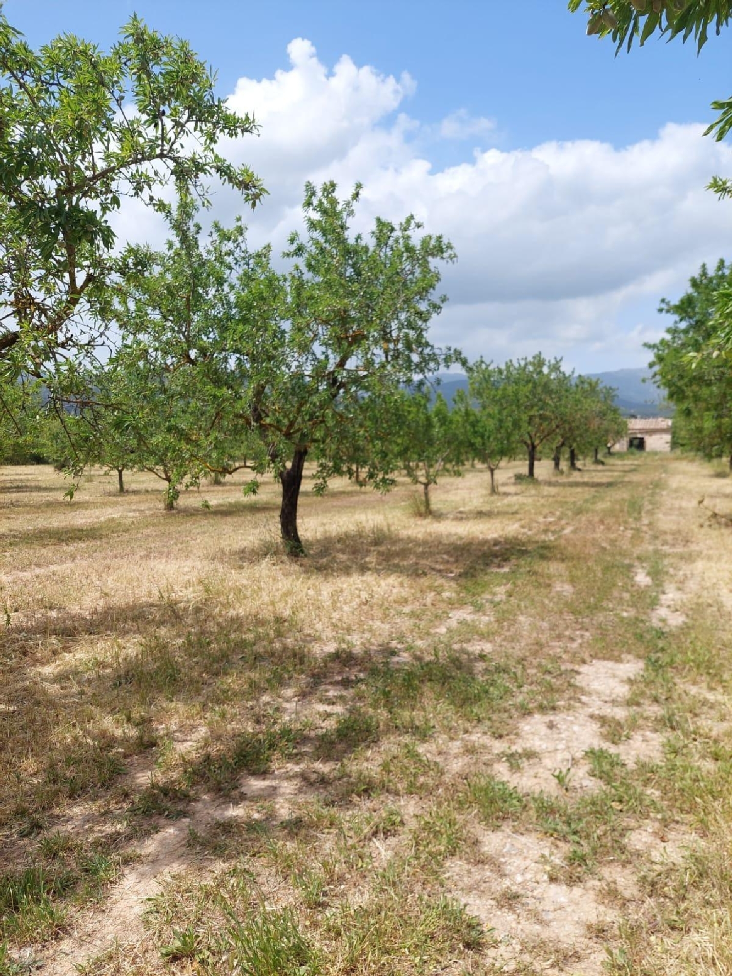  en venta casa Inca Raiguer 4