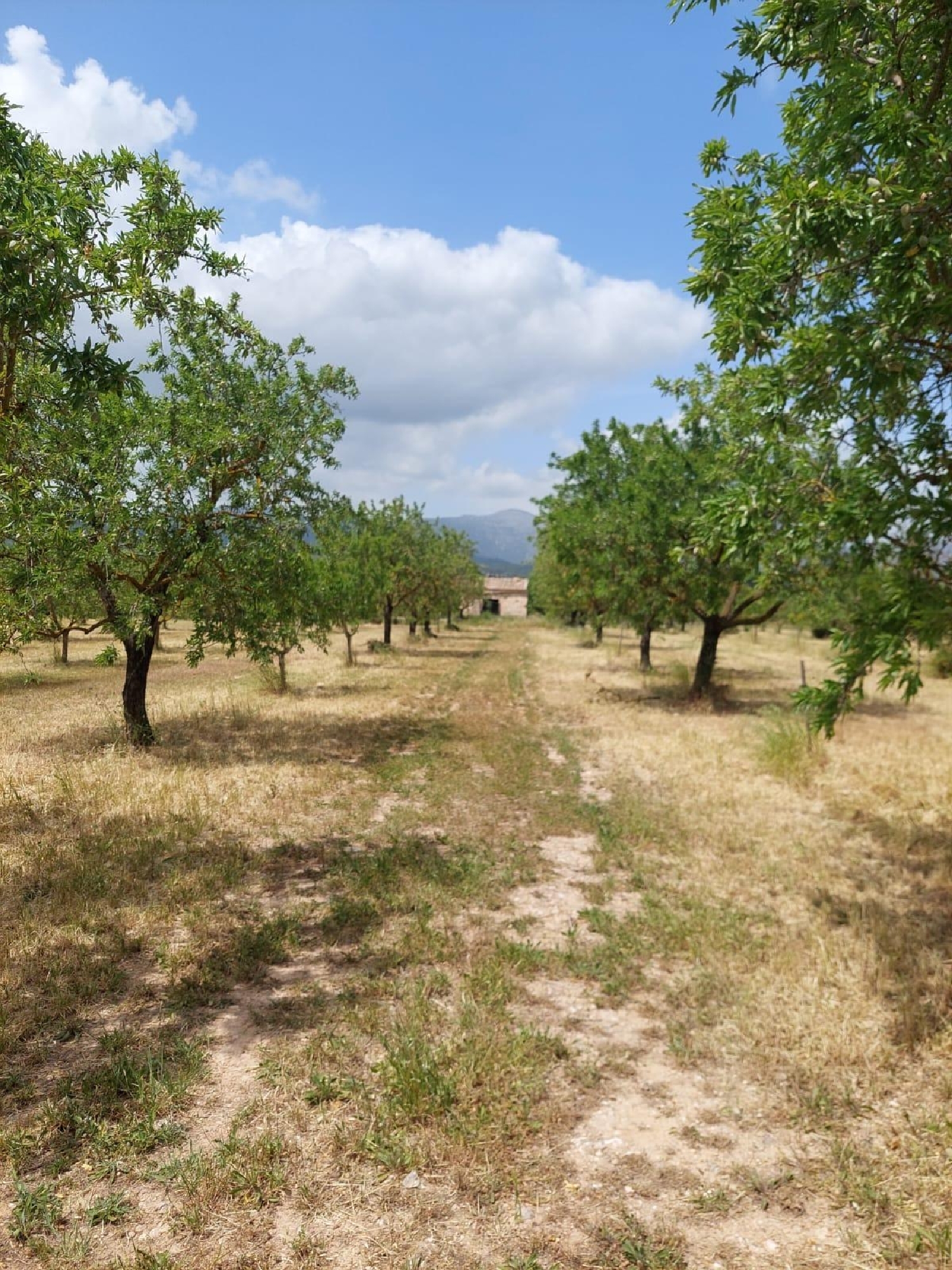  en venta casa Inca Raiguer 3