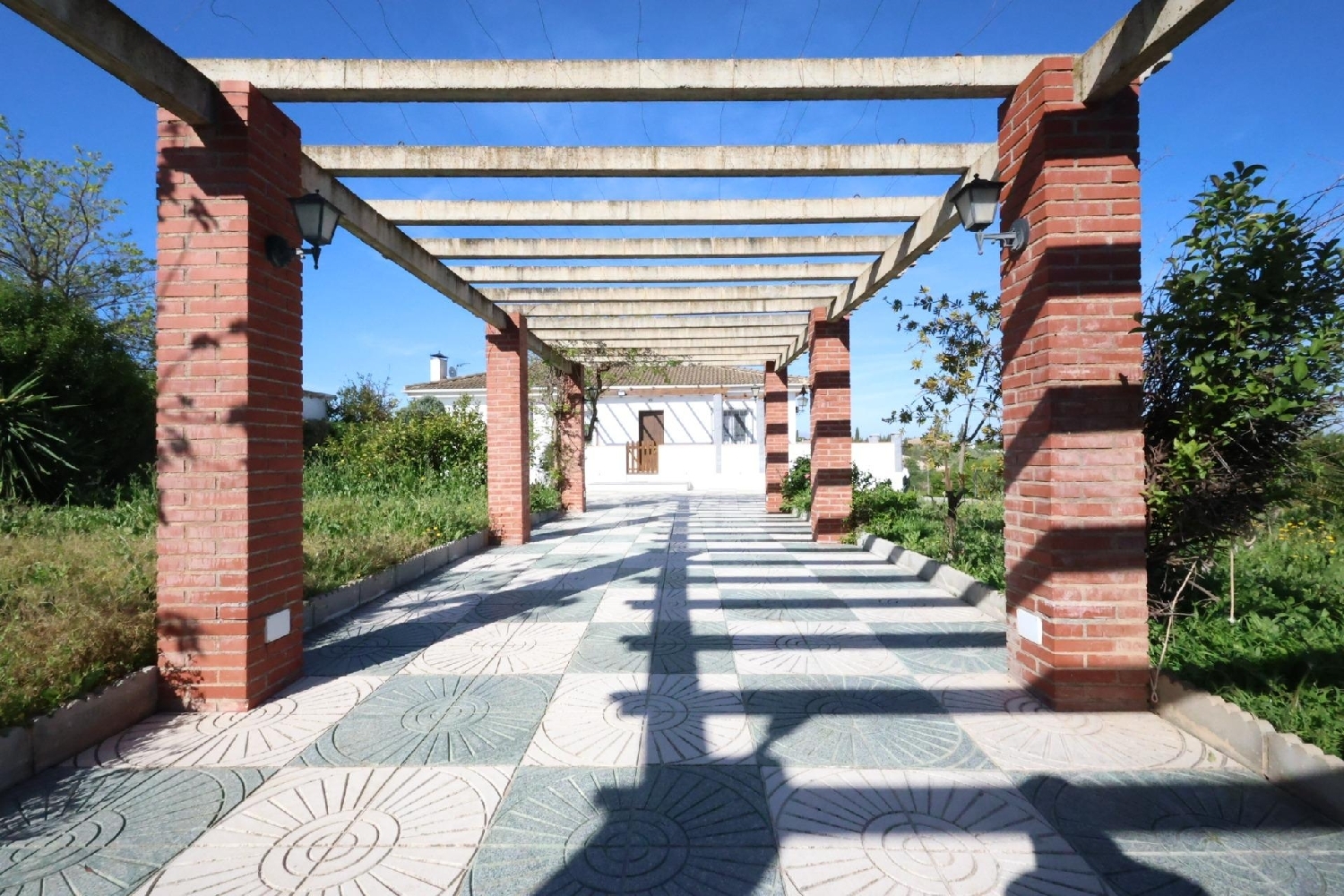  for sale house Moraleda De Zafayona Loja 2