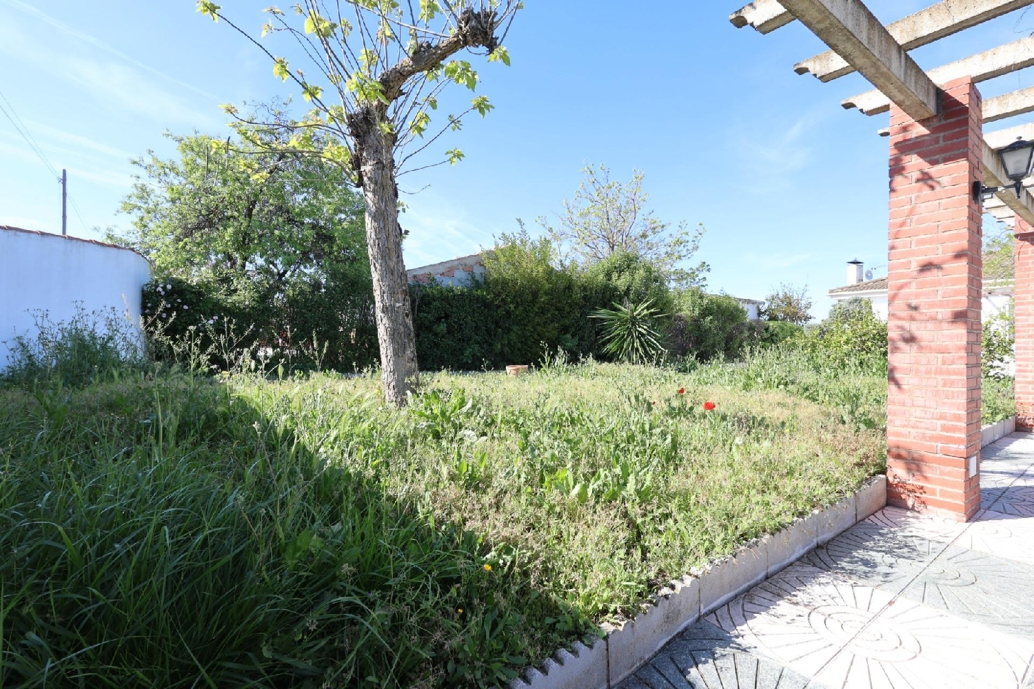  for sale house Moraleda De Zafayona Loja 5