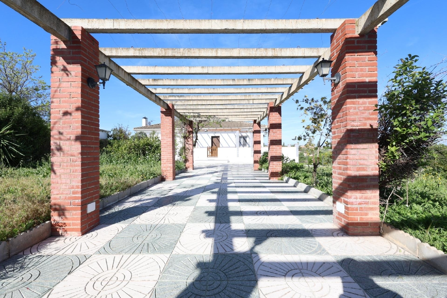  for sale house Moraleda De Zafayona Loja 4