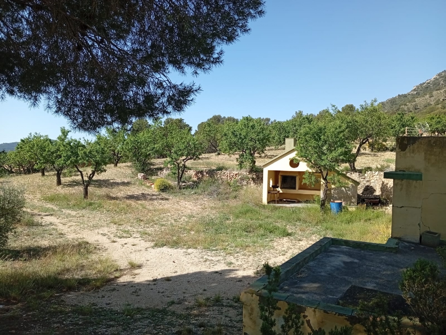  for sale house Salinas Alt Vinalopó 3