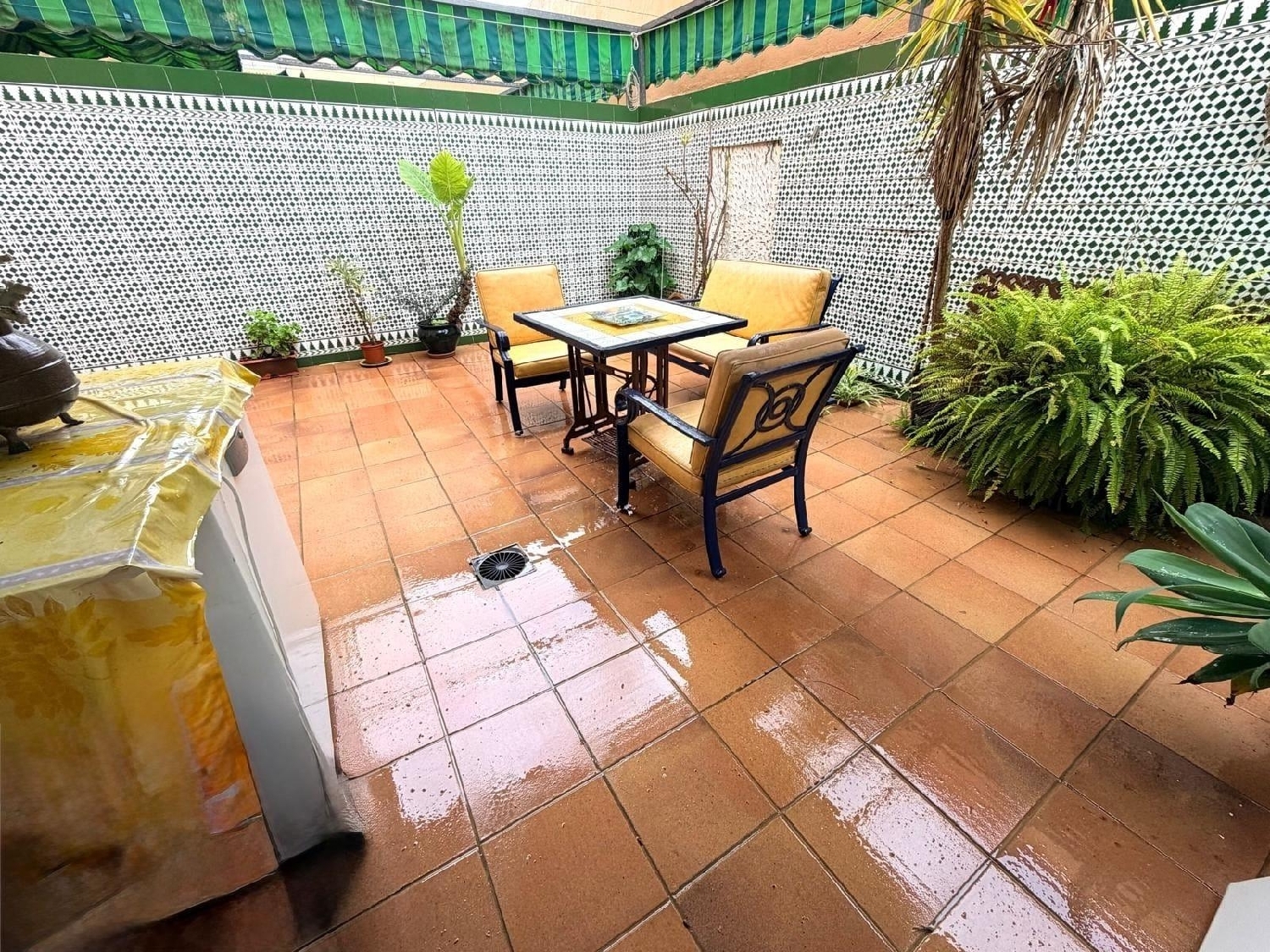  kaufen Haus Sanlúcar De Barrameda Costa Noroeste 6