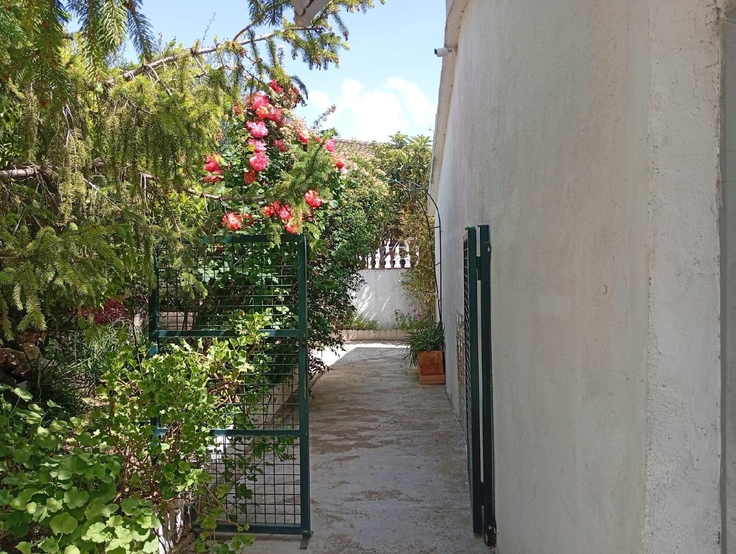  en venta casa Sant Jaume Dels Domenys Baix Penedès 5