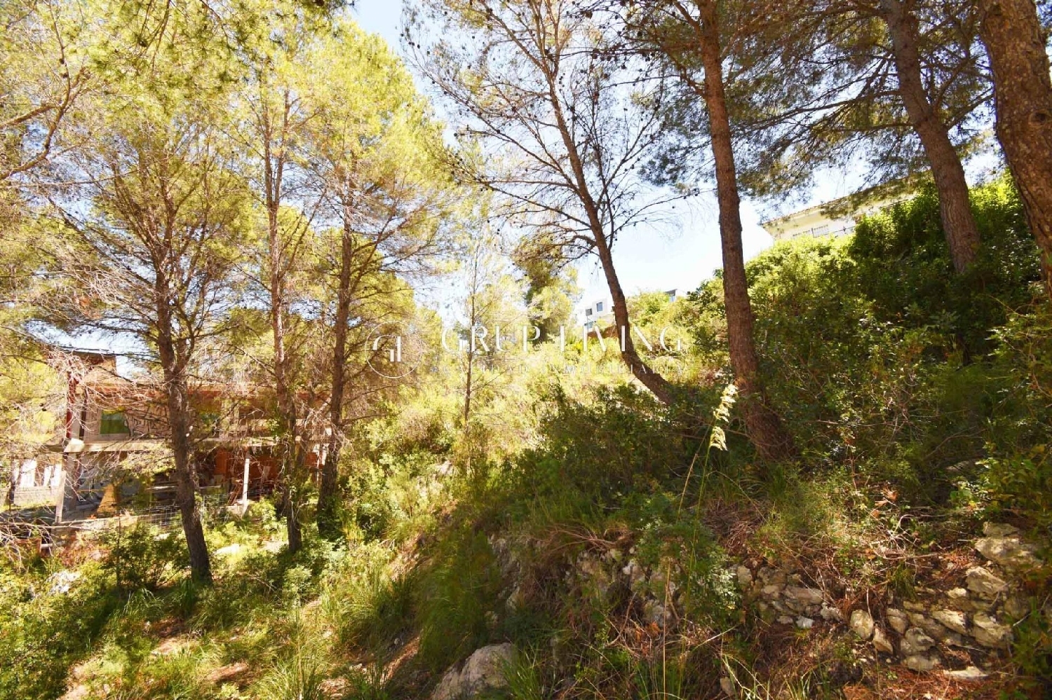  à vendre maison Sant Pere De Ribes Garraf 9