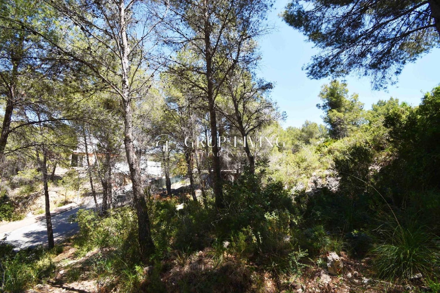  à vendre maison Sant Pere De Ribes Garraf 8