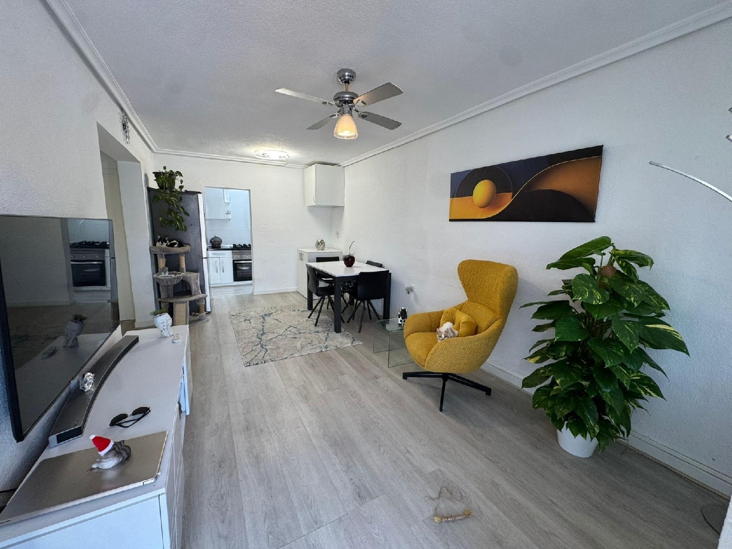  kaufen Haus Torrevieja Baix Segura 7