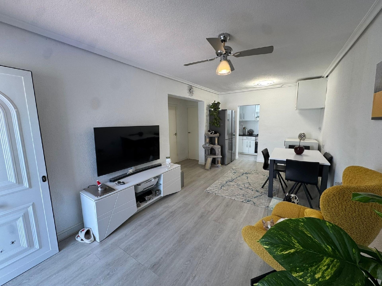  kaufen Haus Torrevieja Baix Segura 6