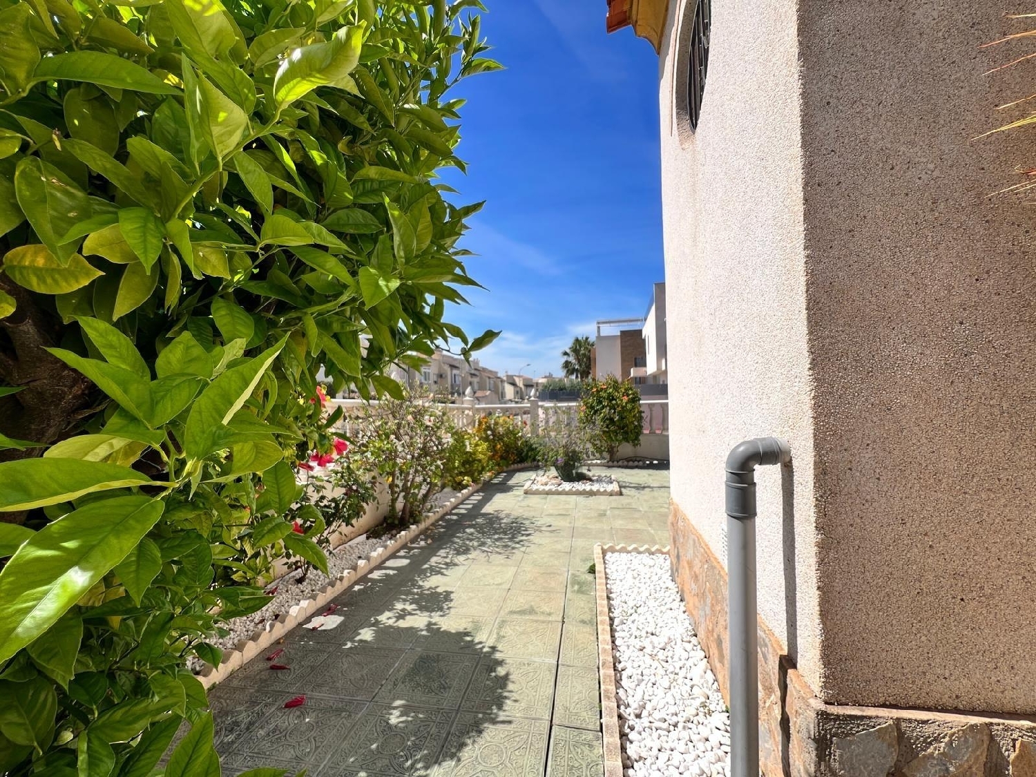  te koop huis Torrevieja Baix Segura 3
