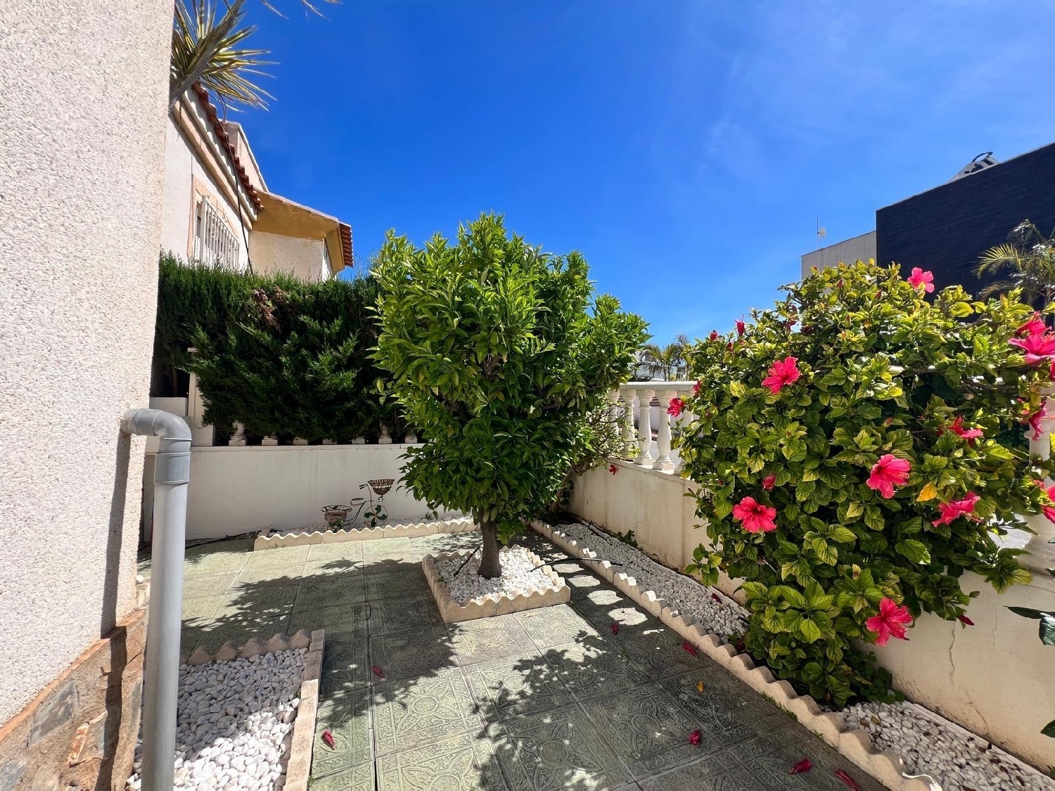  te koop huis Torrevieja Baix Segura 6
