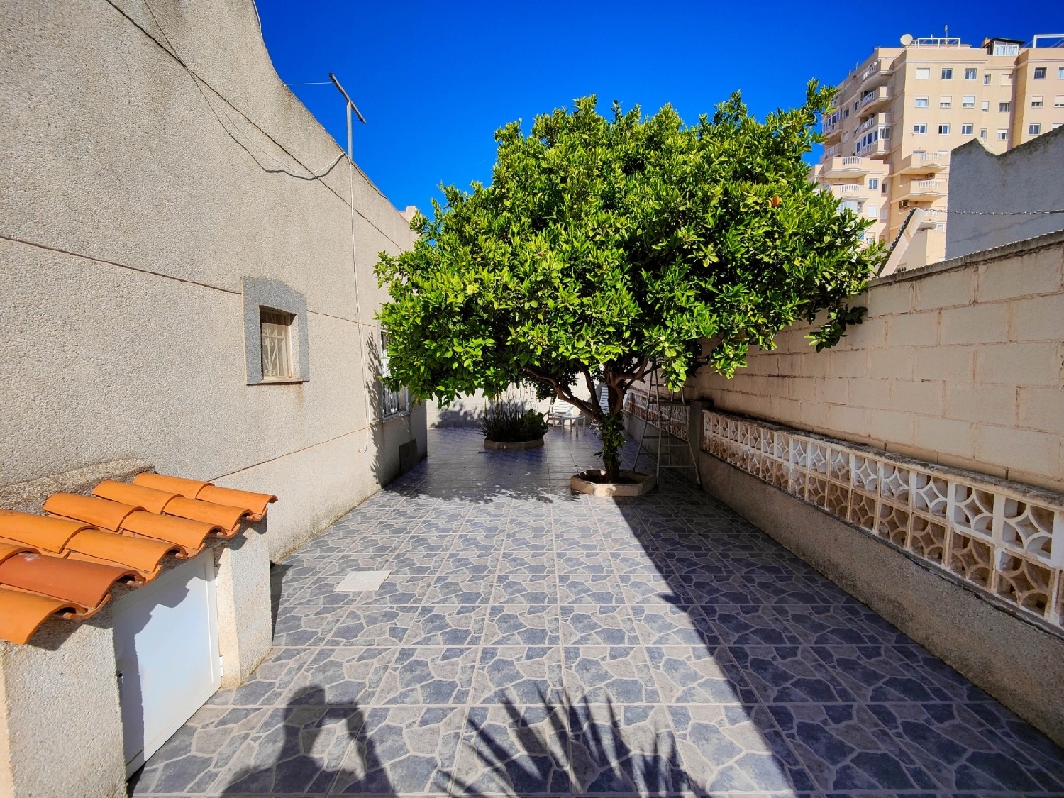 à vendre maison Torrevieja Baix Segura 3