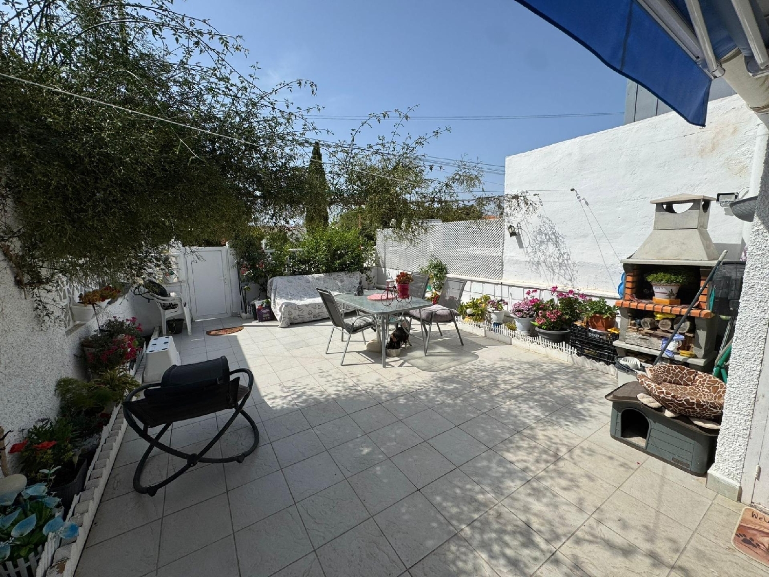  en venta casa Torrevieja Baix Segura 2