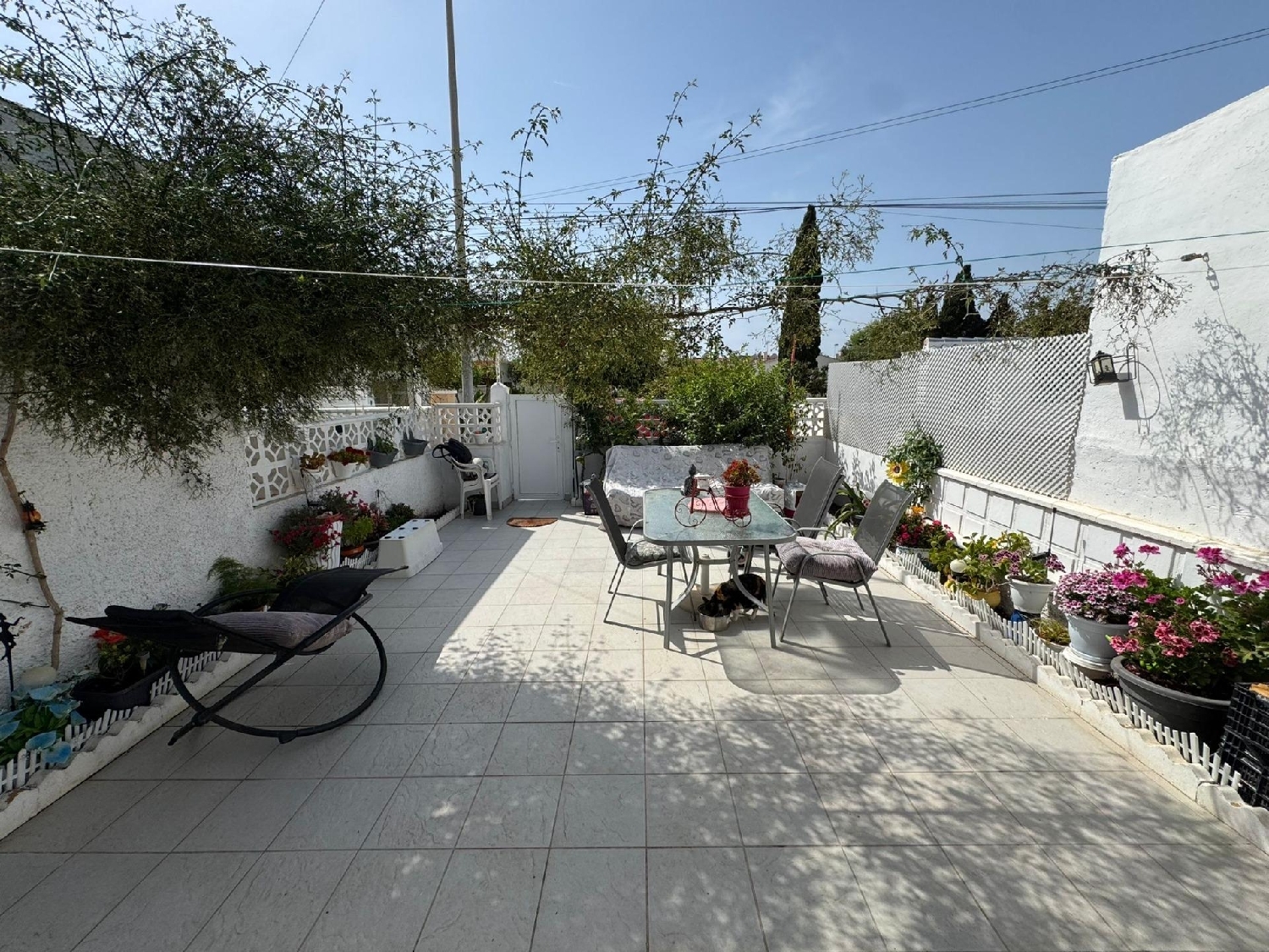  en venta casa Torrevieja Baix Segura 4