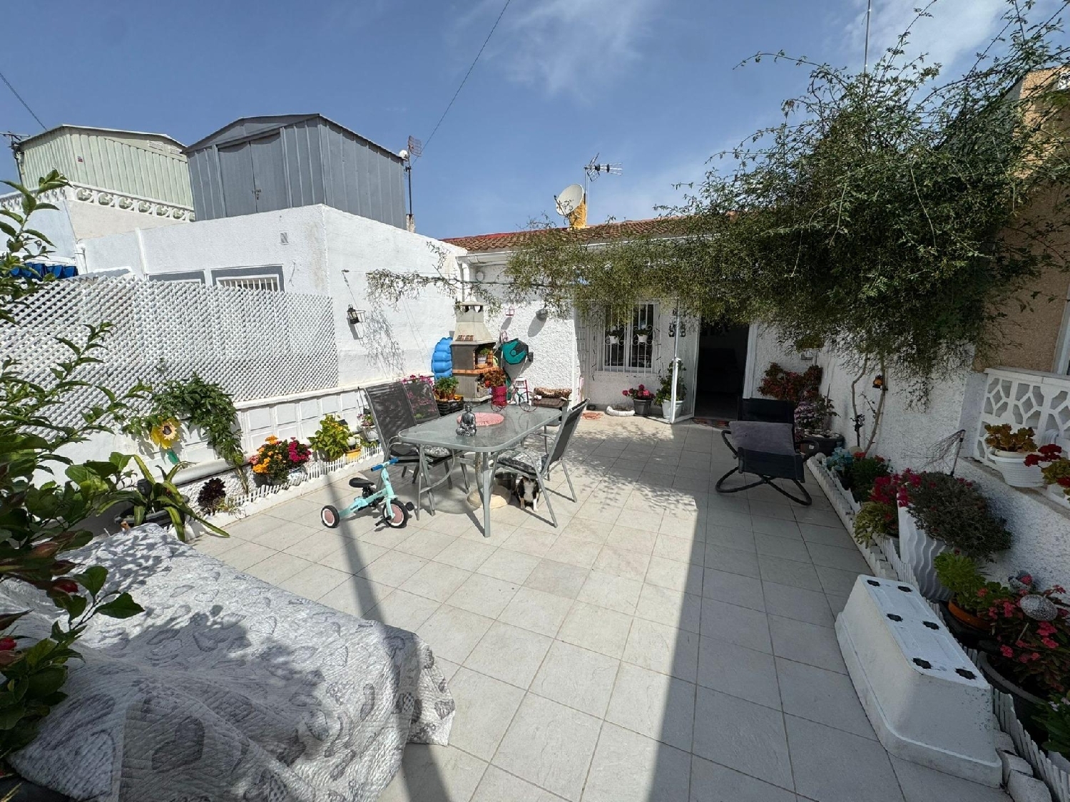  en venta casa Torrevieja Baix Segura 3