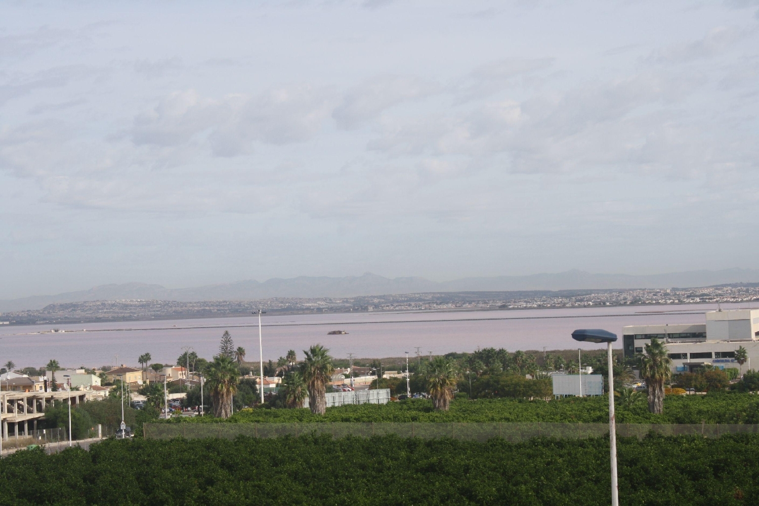  te koop huis Torrevieja Baix Segura 6