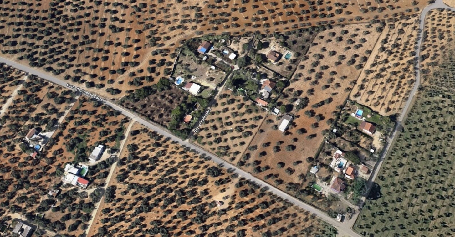  kaufen Haus Utrera Bajo Guadalquivir 3