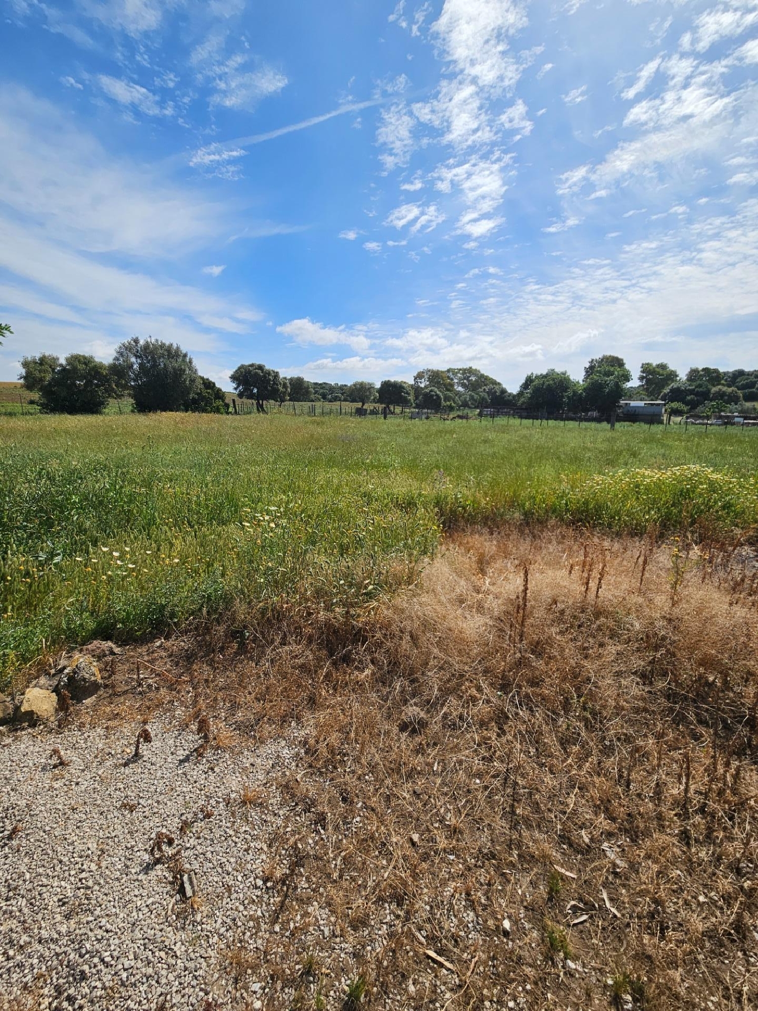  à vendre maison Vejer De La Frontera Janda (La) 4