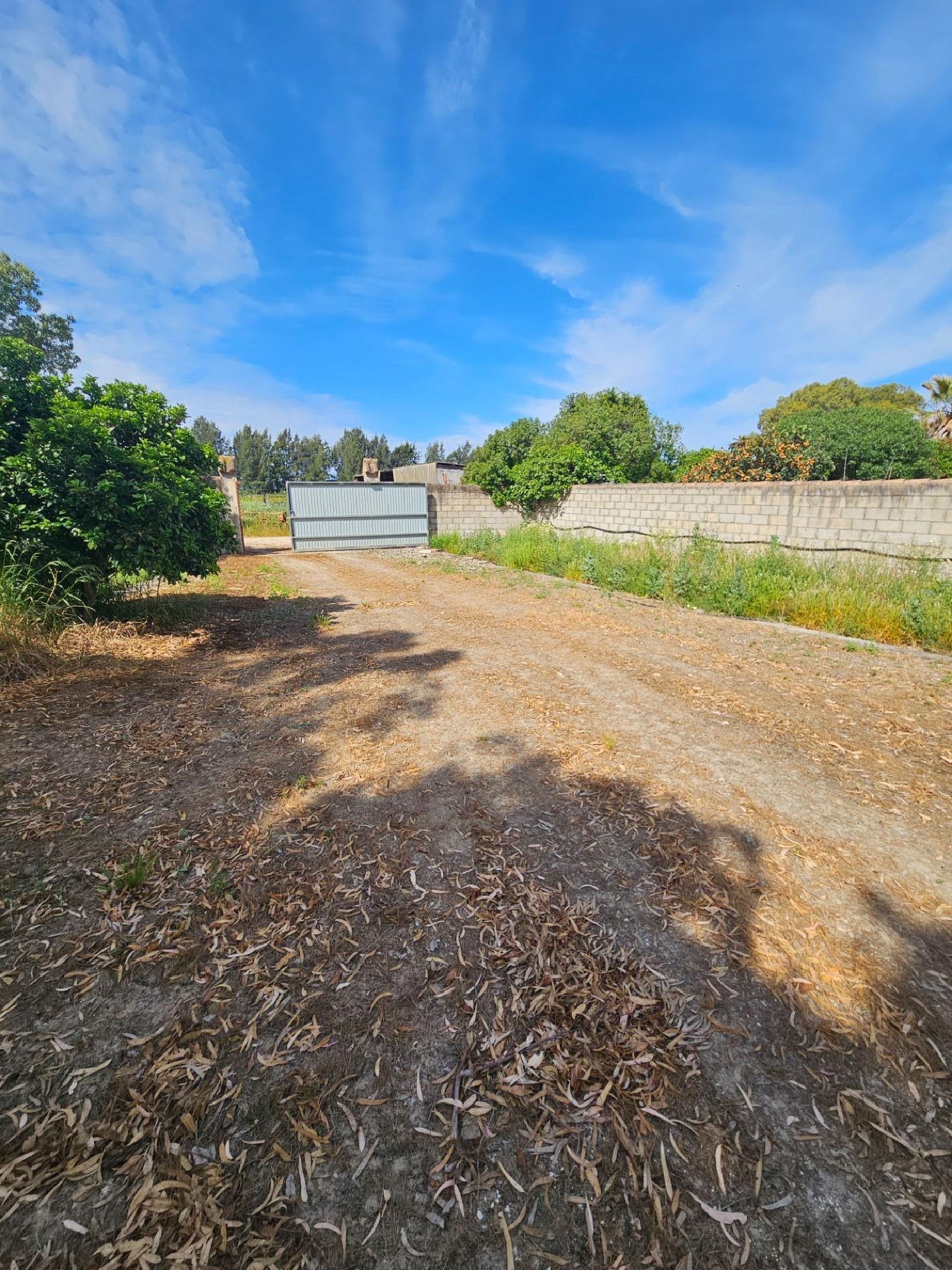 à vendre maison Vejer De La Frontera Janda (La) 2