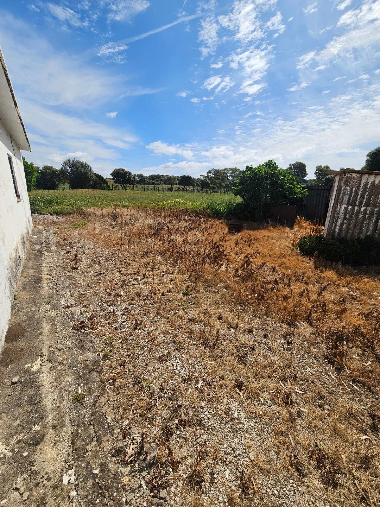  à vendre maison Vejer De La Frontera Janda (La) 3