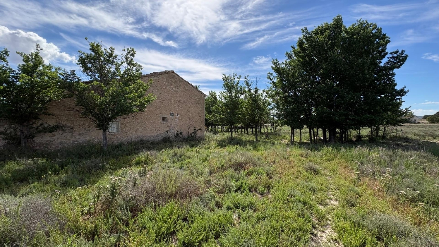  for sale house Villena Alt Vinalopó 5